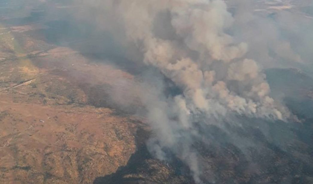 Imágenes del incendio en La Estrella (Toledo)