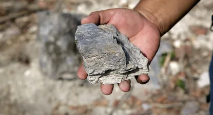 El Observador | 0000341267.webp