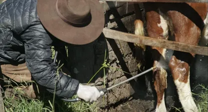 BROU y una nueva asistencia financiera, esta vez para atender un problema en sanidad ganadera.