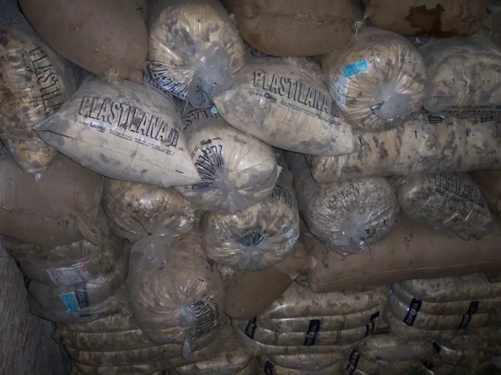 La lana testea los primeros precios de la nueva zafra