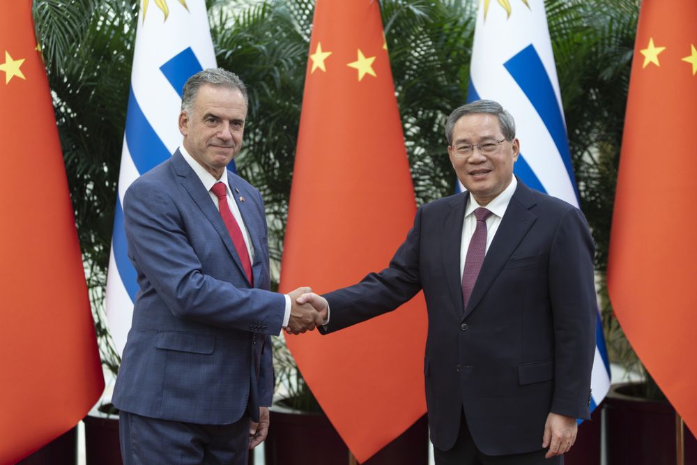 _Y3A59279240 (1) (1)