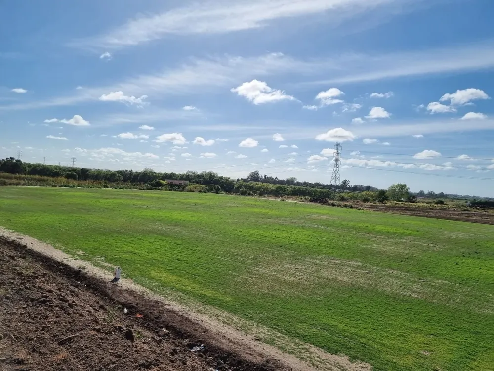 La cancha 2 de la Ciudad Deportiva de Peñarol ya tiene un colchón de césped