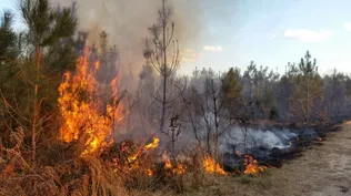 Incendios en campos.