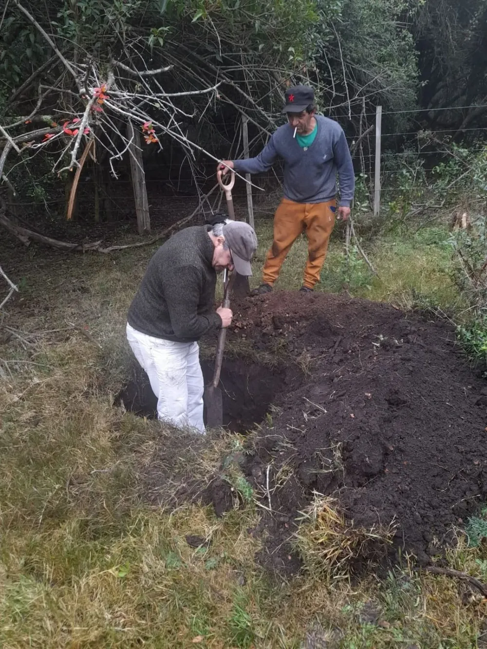 Gustavo Torena en medio de su excavación en el predio de Aiguá, en busca de desaparecidos