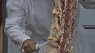 Informe de INAC arrojó que 18 de 25 frigoríficos tuvieron pérdida en 2019