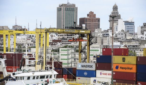 La economía en el tercer trimestre de 2024: ¿qué marcaron 17 indicadores claves de avance de actividad?