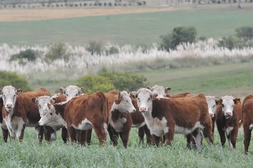 Consideran que la toma de decisiones de manera oportuna es clave para reducir los efectos negativos.