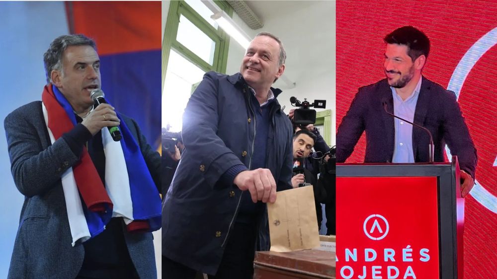 Orsi, Delgado y Ojeda los ganadores de las elecciones internas 2024