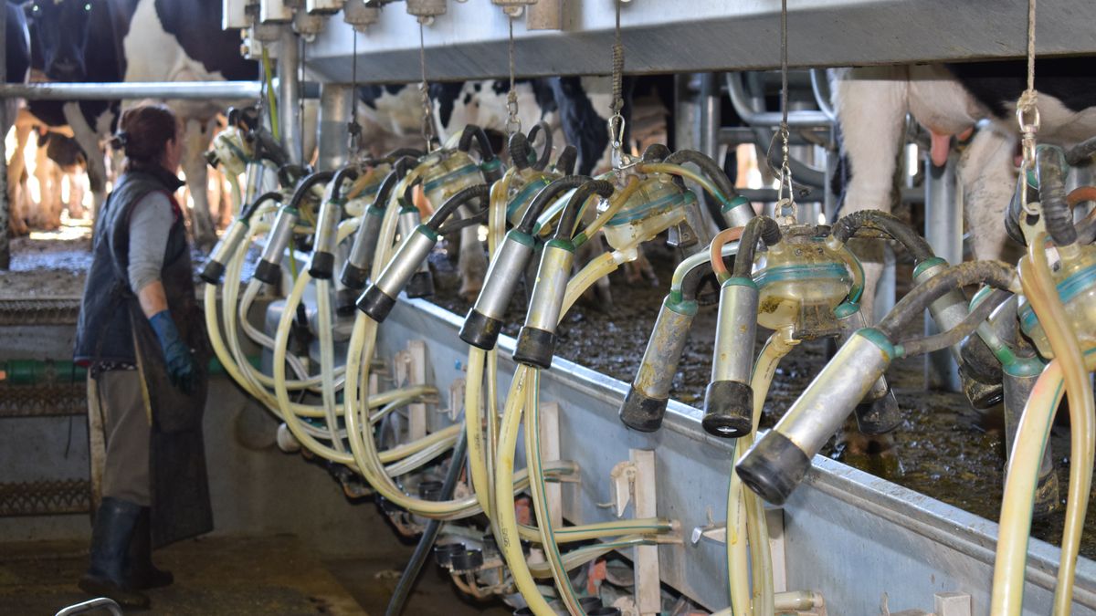 Producción y remisión de leche a las industrias cerraron el mejor marzo de la historia