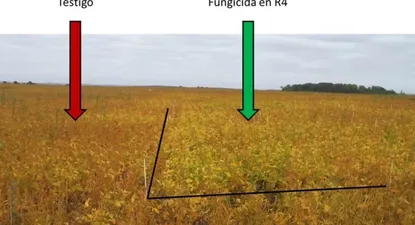El Observador | 0000064659.webp