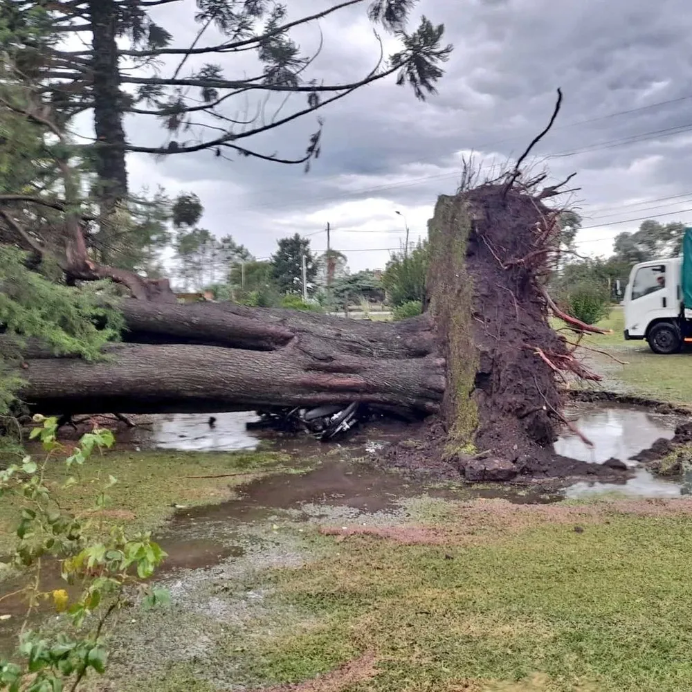 Una moto queda bajo un árbol en Mercedes, luego del temporal de viento y lluvia del 29 de marzo de 2022