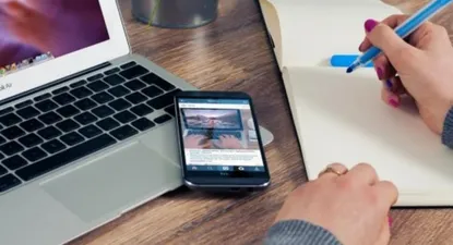 La start up cucaracha: una apuesta más resistente para inversores