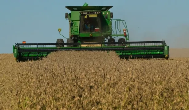 La soja se derrumba pero la carne apuntala precios de commodities