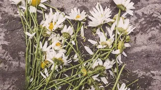 La muerte puede revivir tu carrera