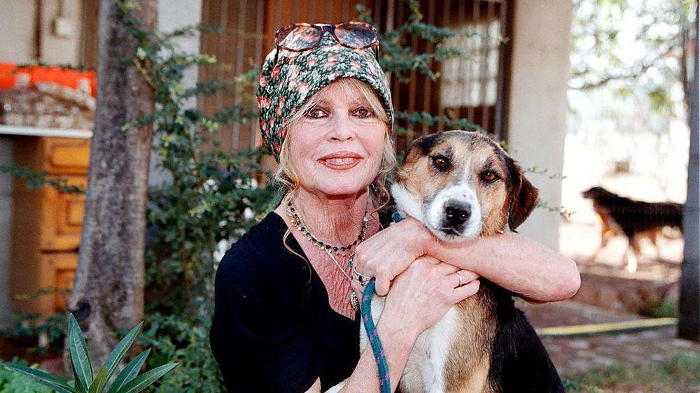 Bardot era una activista por los derechos de los animales y tenía un refugio canino llamado "Los Perros Buenos".