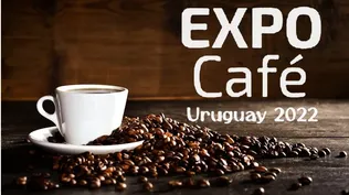 Expo Café