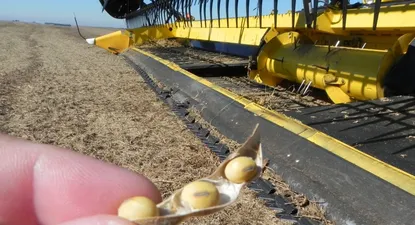 La cosecha de soja comenzará el próximo mes.