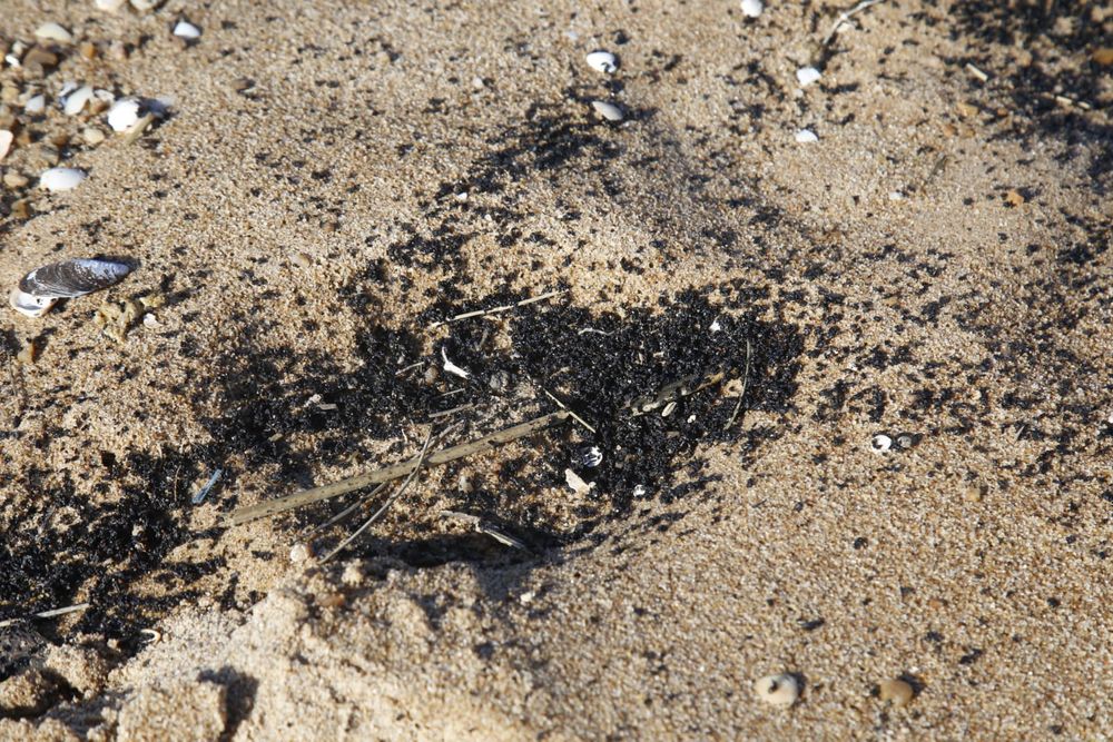 Rastros de combustible en la playa de Sauce de Portezuelo