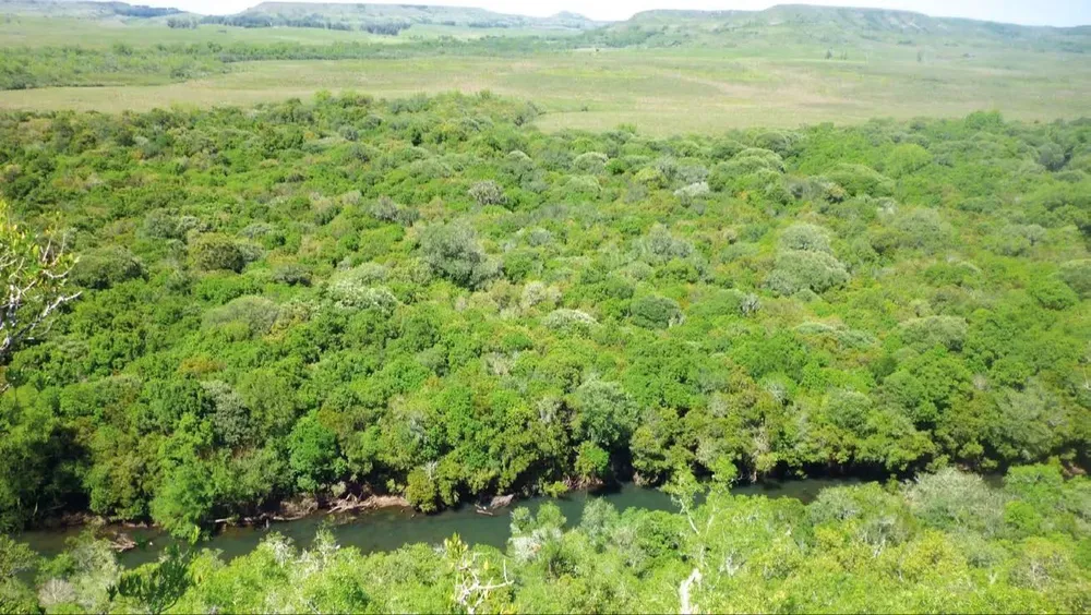 Uruguay asume la agenda ODS y el presupuesto público constituye una herramienta central para cumplirla.