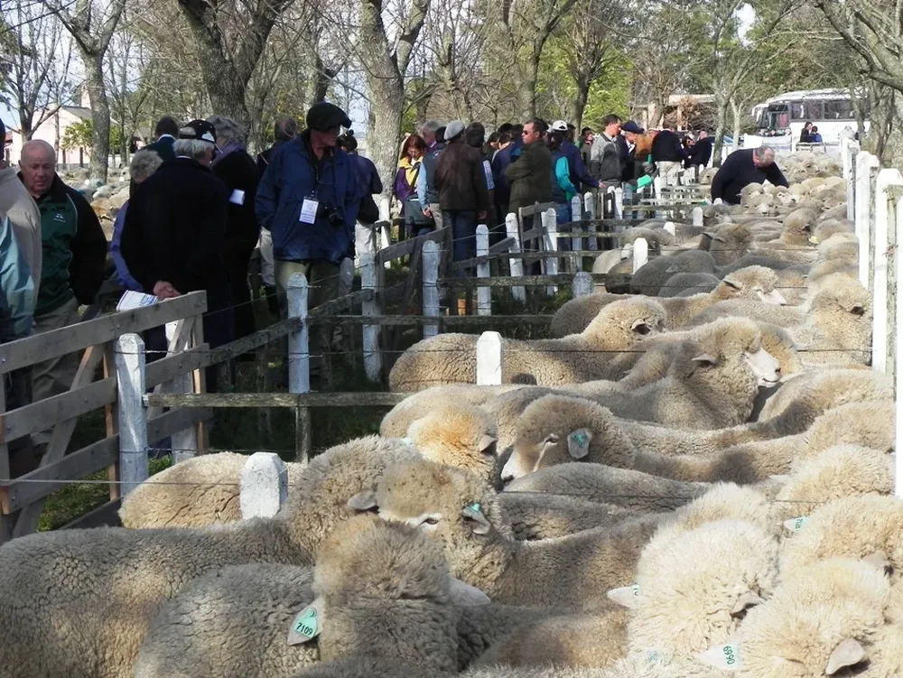 La edición 2012 de la gira, en cabaña La Lucha