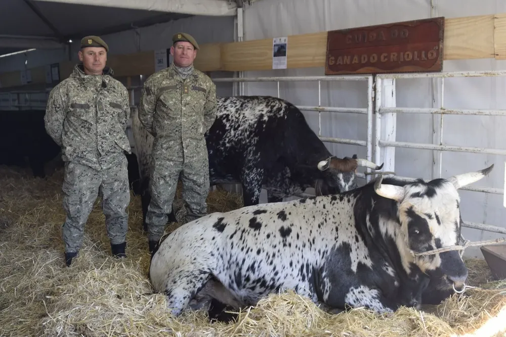 El teniente Juan Sosa junto al cabo de Primera, Pablo Fernández, acompañan a Guyunusa y Tacuabé en la Expo Prado.
