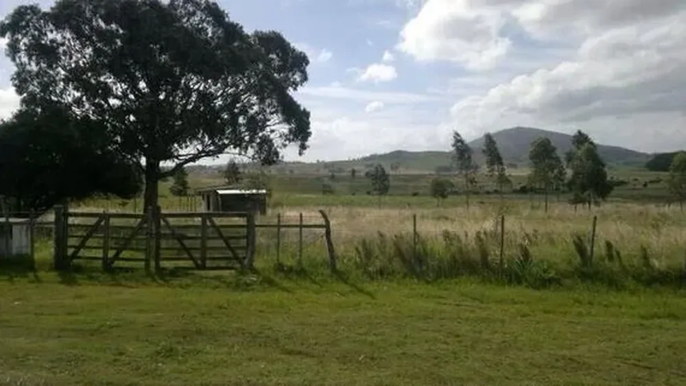 El comprador tendrá un plazo máximo de 90 días para abonar el saldo restante