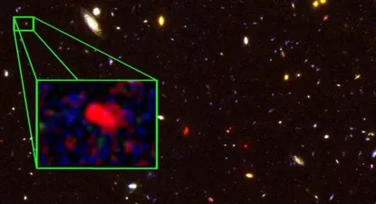 El Observador | 0000326129.webp