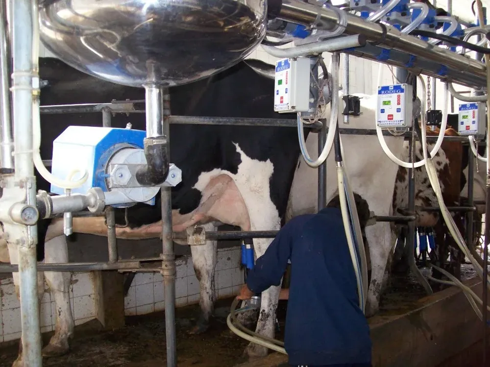 Productores advierten que hay menos réditos en el sector