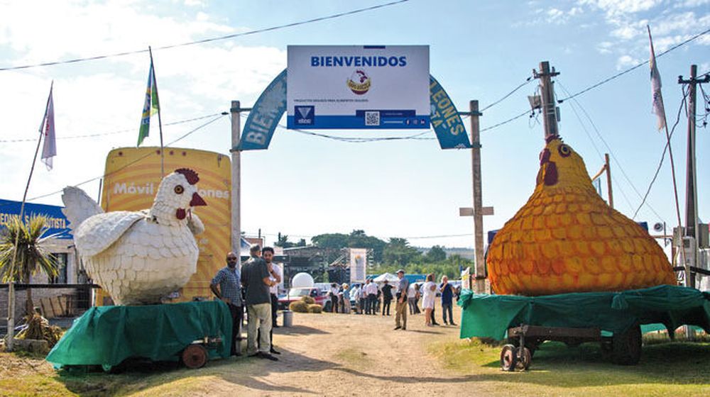 Gripe aviar: la tradicional fiesta en San Bautista quedó suspendida.