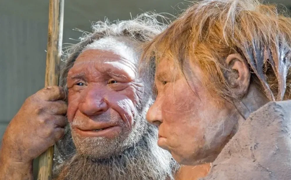 Reconstrucciones de neandertals en el museo de Mettmann, Alemania
