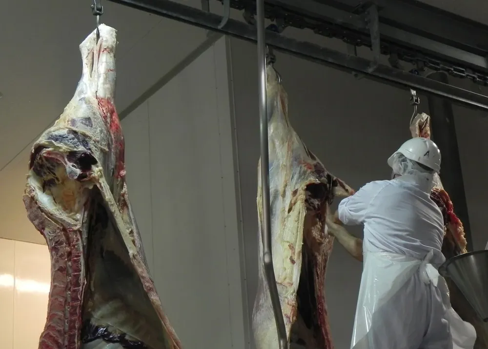 La faena vacuna sufrió un notorio desacelere en setiembre.