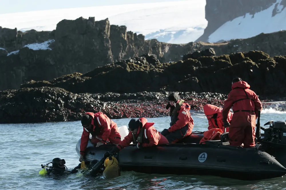 Dos buzos sacan bolsas de algas de una zona cerca de la Isla del Rey Jorge, en el archipiélago de las Shetland del Sur, Antártica