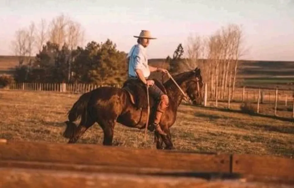 Zambrano & Cía rematará Criollos de forma virtual.