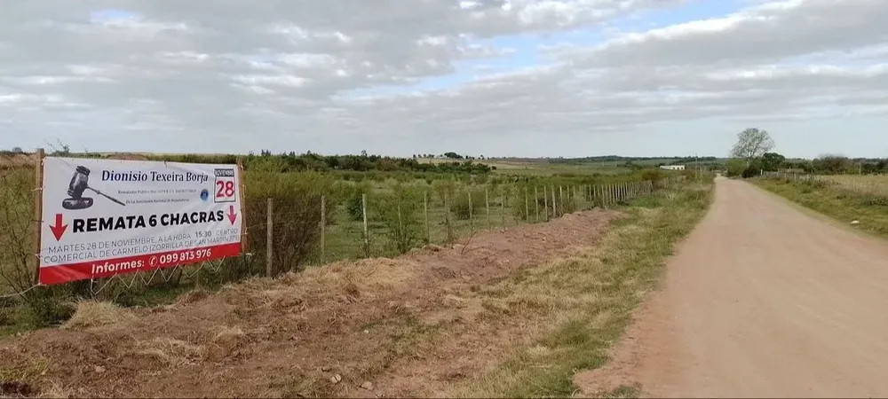 Buenos terrenos en un departamento muy productivo.