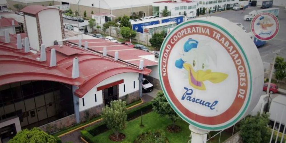 Cooperativa Pascual.jpg