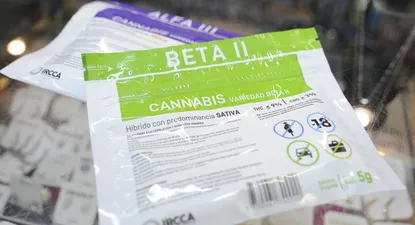 10 números que explican los primeros diez años de legalización de la marihuana en Uruguay