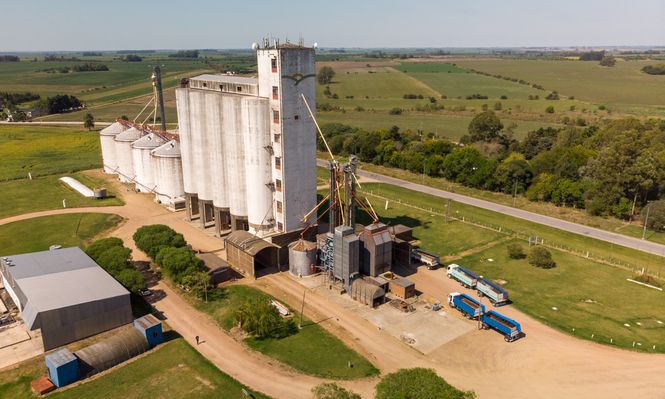 Copagran posee plantas de silos en Paysandú, Río Negro, Soriano y Colonia, plantas de semillas en esos departamentos, una planta de nutrición animal en Río Negro y locales comerciales en 11 localidades en el interior.