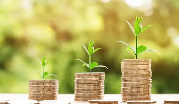Inversiones de capital privado en Uruguay acumularon US$ 16,5 millones: los sectores más elegidos