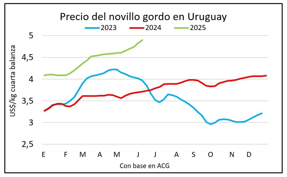 Novillos, con el precio en ascenso constante.