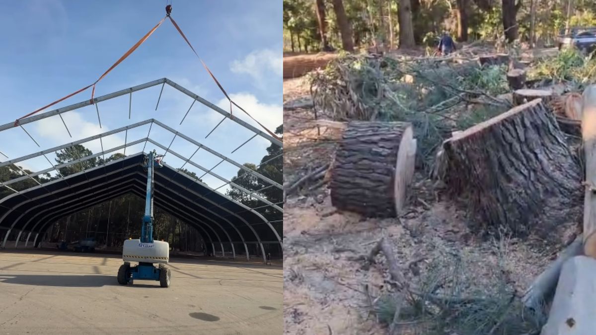 Vecinos del Parque Roosevelt se oponen a la carpa de shows por tala de árboles y ruidos molestos; intendencia aclaró que 