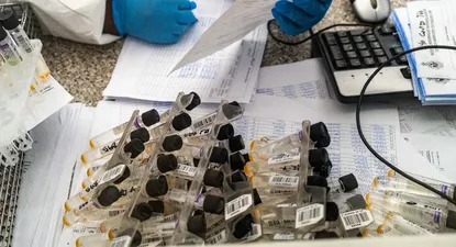 Detectaron una nueva variante del coronavirus en Sudáfrica