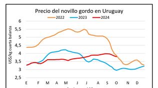 Mercado ganadero, por Blasina y Asociados.
