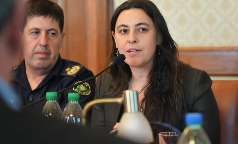 Protectoras de Animales -en la foto, Rita Rodríguez, durante una asistencia del INBA al Parlamento- cuestionan el modo en el que, al inicio de esta administración de gobierno, está funcionando el comando del instituto. &nbsp;