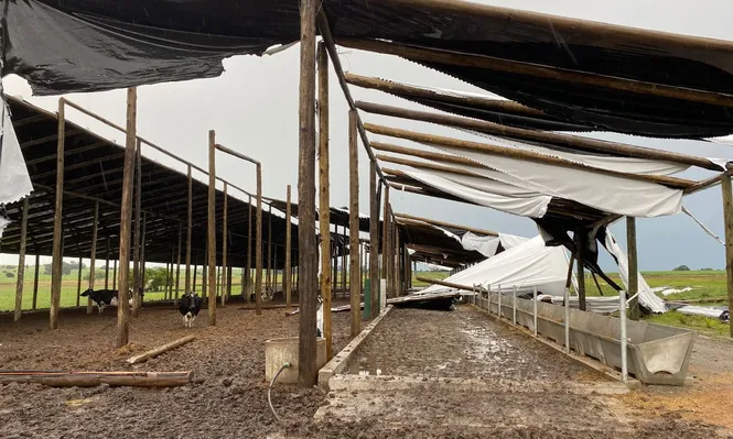 Destrozos en el tambo de Andrés Mondon.