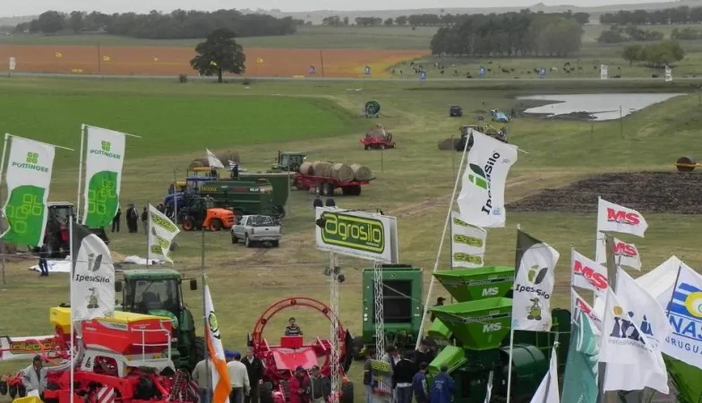 El campo de la Expoactiva está sobre el km 255 de la ruta 2