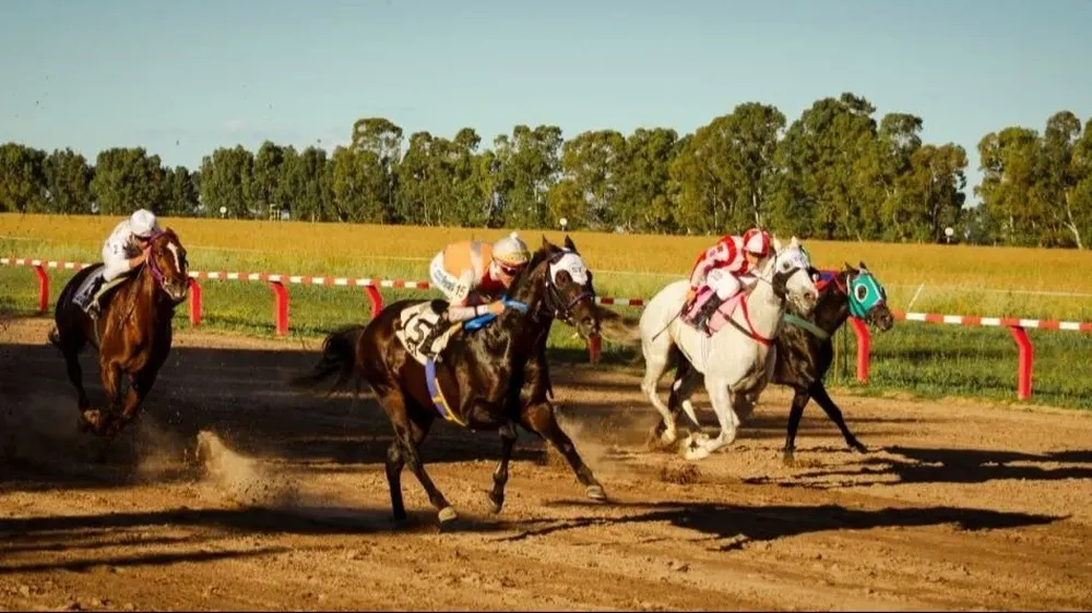 Misiones: mataron a un joven que apostó en carreras de caballos y no pagó lo que debía