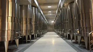 Agroland despide 170 empleados por problemas de rentabilidad