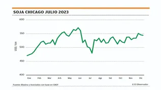 La soja y un año con cambios constantes.