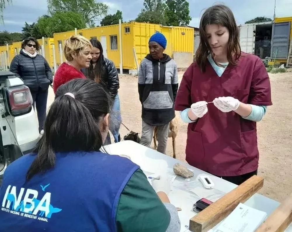 Castraciones e identificación de perros.