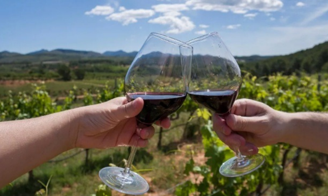 El consumo de vino baja un 9,3%